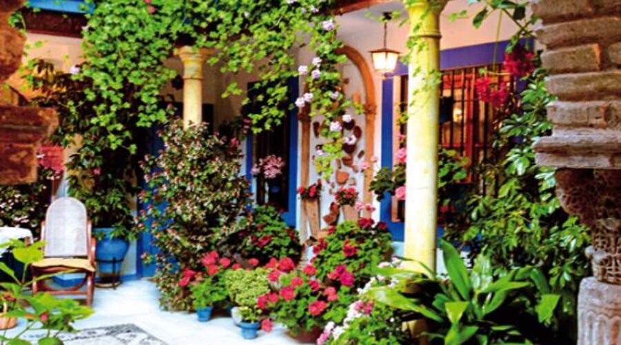 Plano y Programa de la Fiesta de los Patios 2017